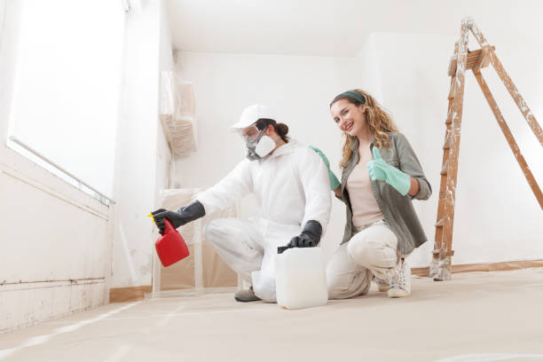 Mold Documentation for Insurance Claims in Edwardsville, PA